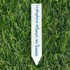 medium plant labels for cacti succulents 10 labels