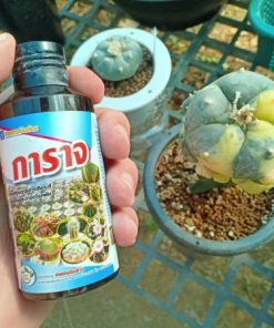garag cactus protection 100cc