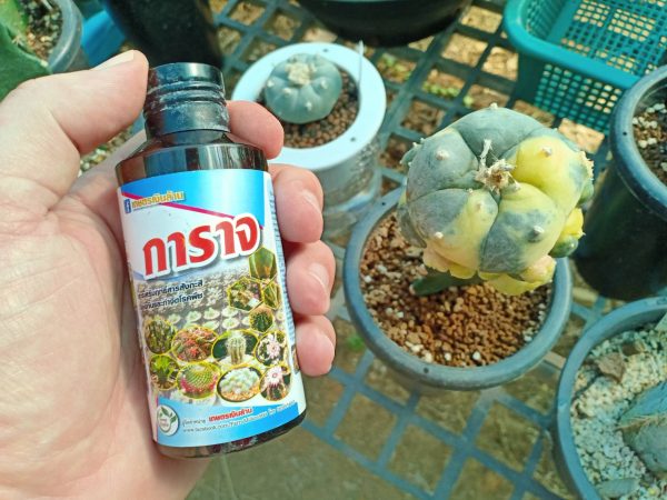 garag cactus protection 100cc