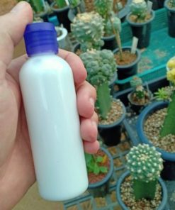 our all in one care insecticide 100cc for cactus