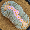 l-fricii cristata