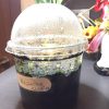 germination kit 3 without seeds