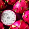 dragon fruit seeds for sale